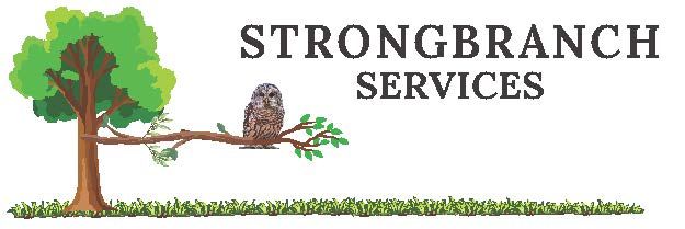 Strongbranch Services